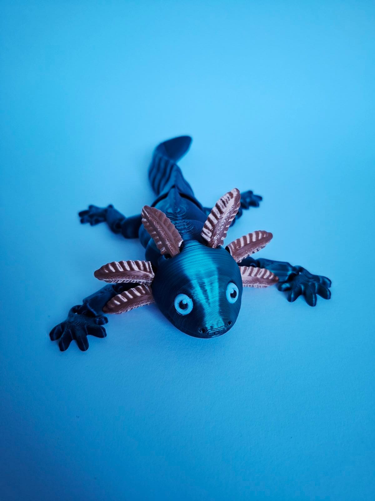 IMG-d9395cb6e4aad91eb6e183b7e28deb7d-V